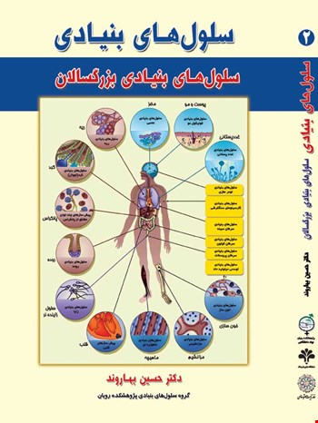 سلول های بنیادی جلد دوم بزرگسالان - 